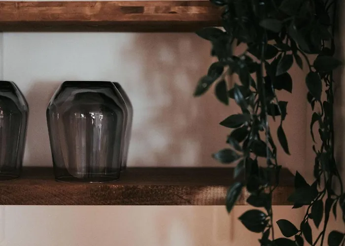 Le Cocon Thiernois Thiers